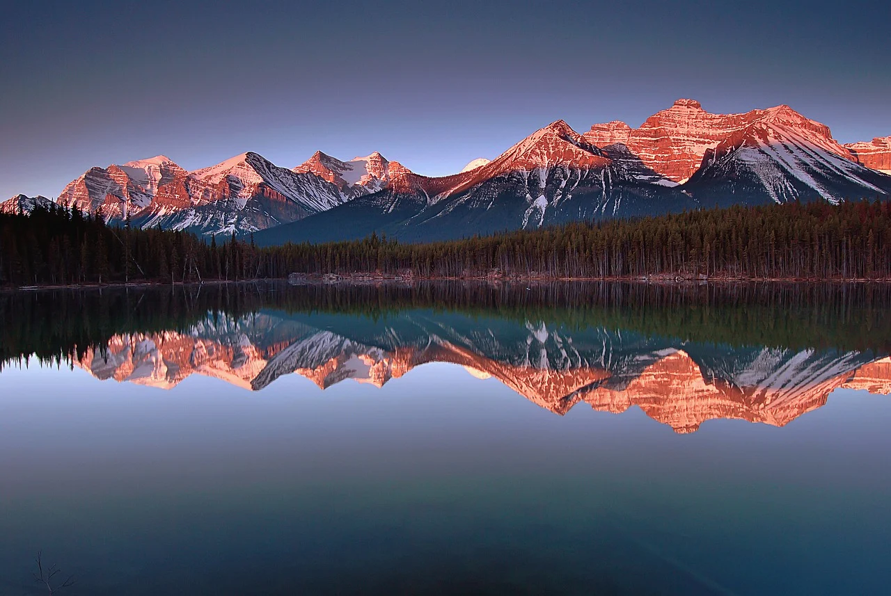 Navigating the Canadian Cyber Landscape: Why You Need Expert Cybersecurity Consulting Canada?